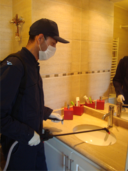 Sanitizacion